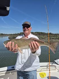 Hilton Head Island Report Photo 1