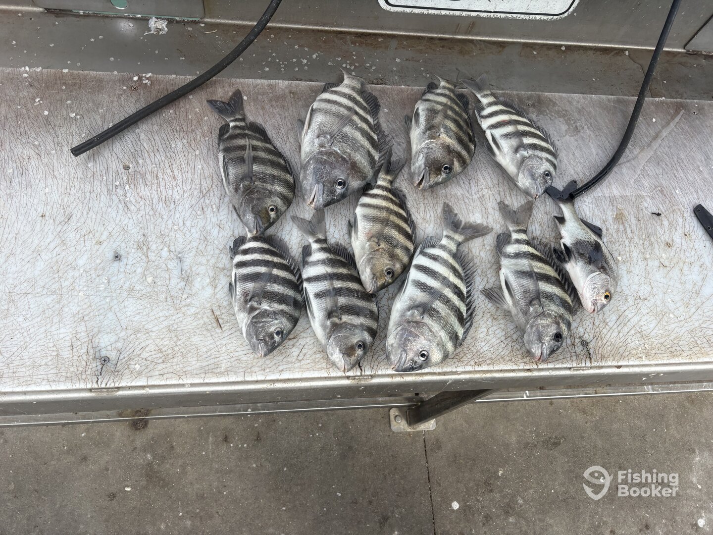 Port Canaveral Report Photo 0