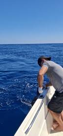 Los Sueños Verslag Foto 1