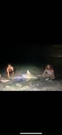 Double up on 2 nice sharks