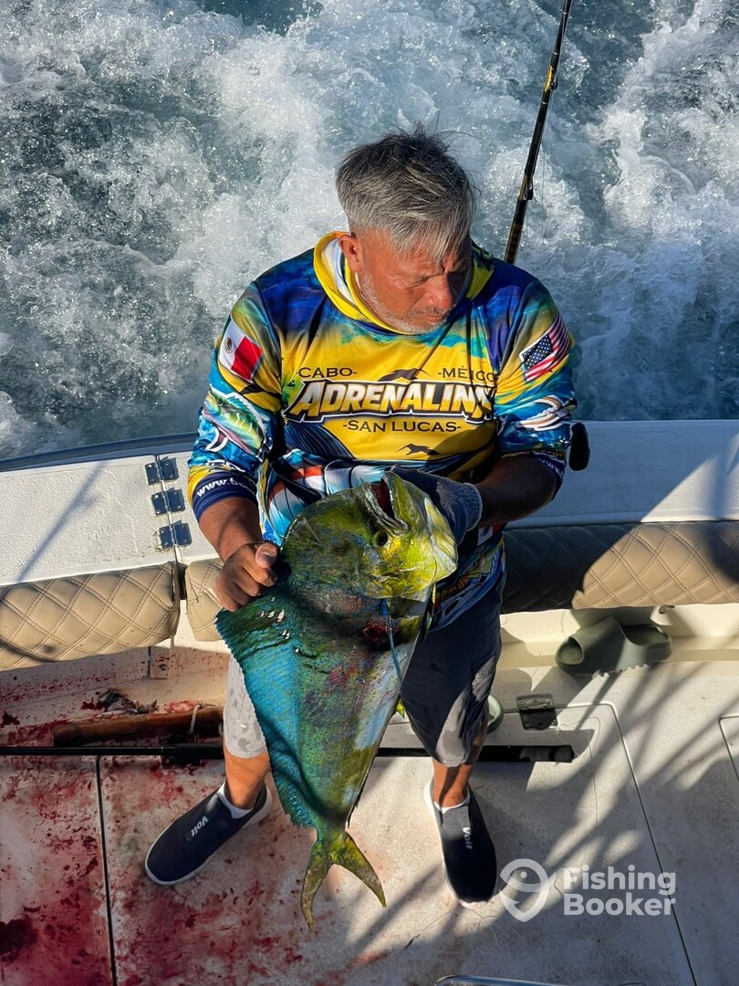 Cabo San Lucas Report Photo 0