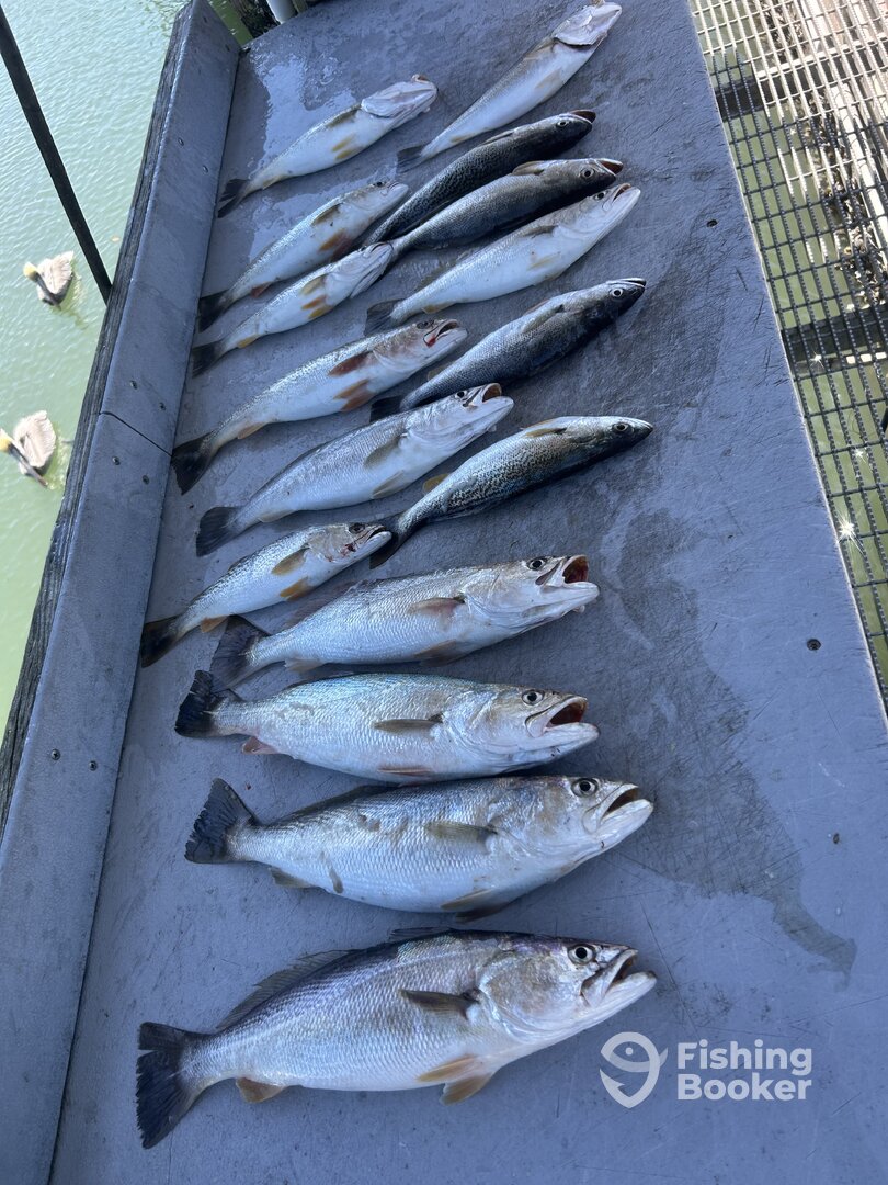 St. Augustine Report Photo 0