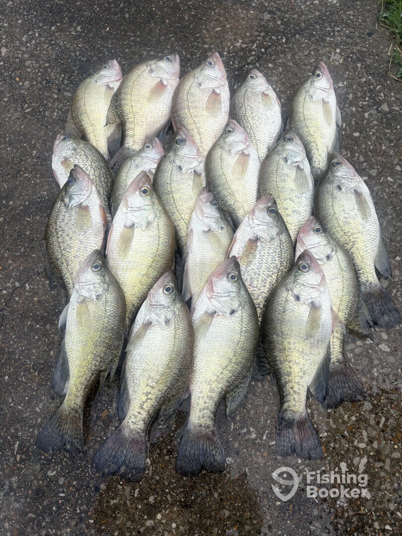 Glasgow Report Photo 0