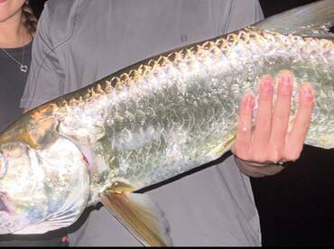 18/03/2026 night fishing action