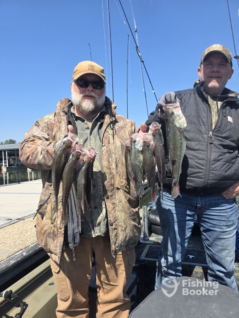 Harrison Verslag Foto 0