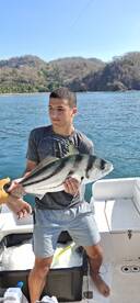 Where Experience and Instinct Make the D