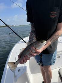 Sarasota Verslag Foto 2