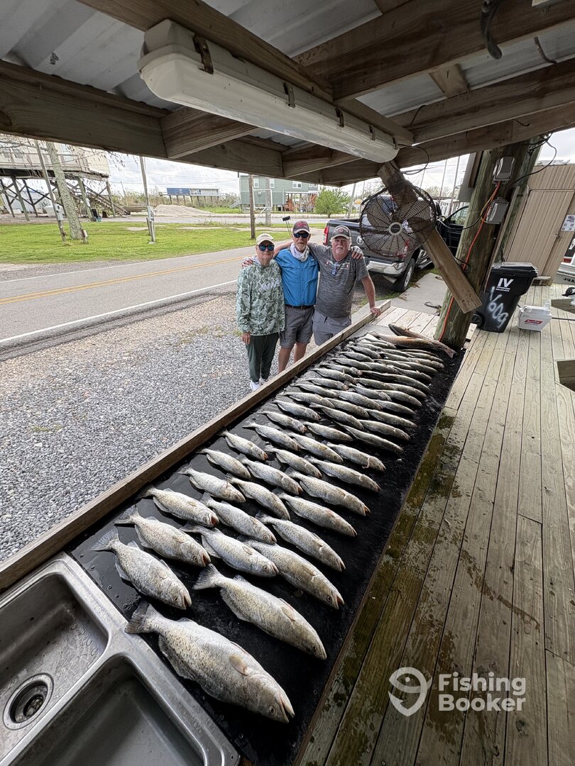 St. Bernard Verslag Foto 0