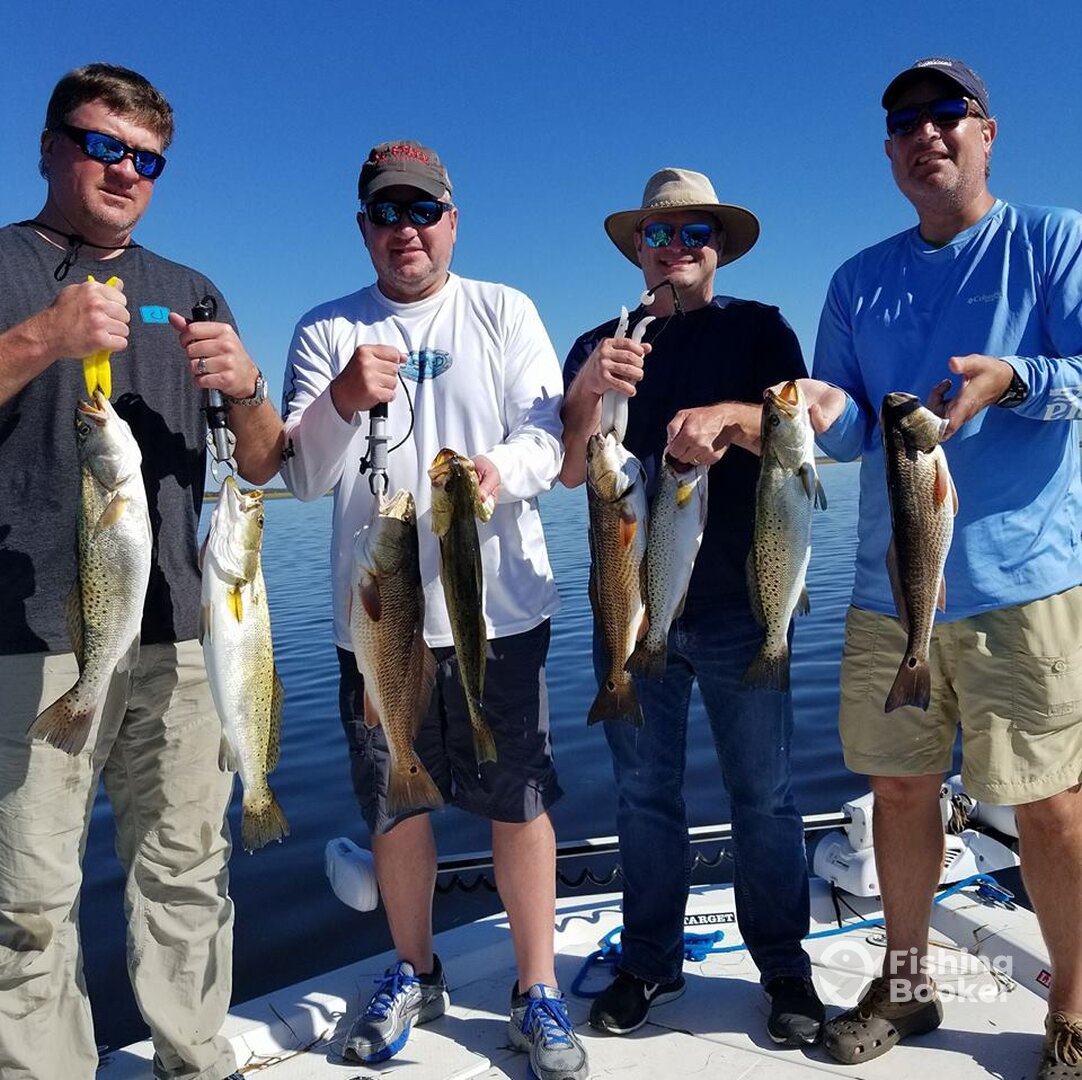 Steinhatchee Report Photo 0