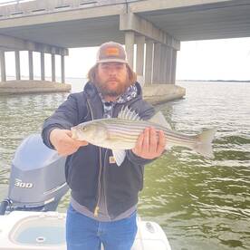 Ocean City Report Photo 1