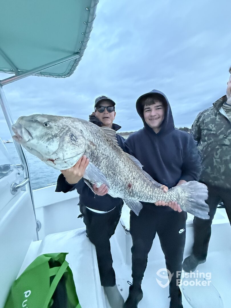 Port Canaveral fishing report 70# black drum