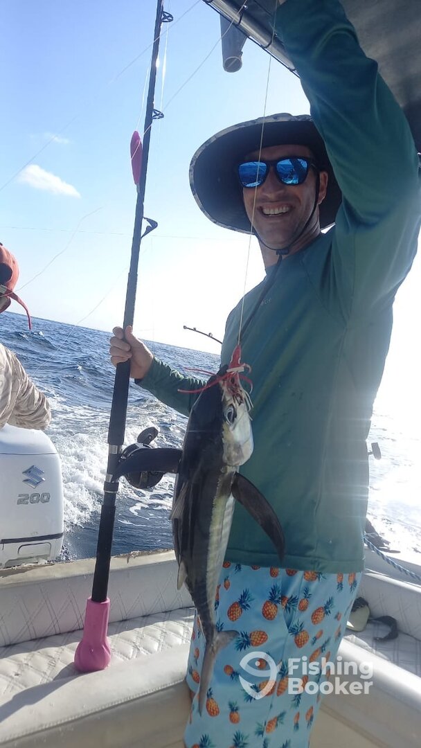 Cartagena Report Photo 0