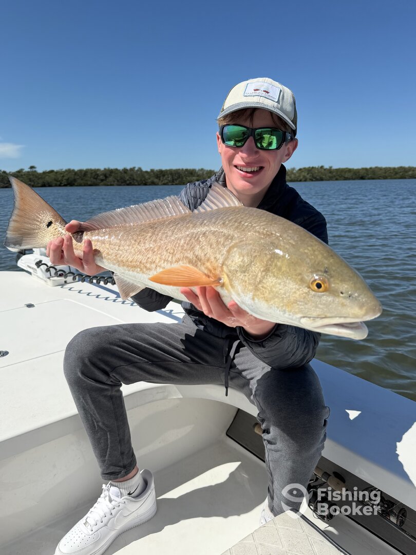 Sarasota Verslag Foto 0