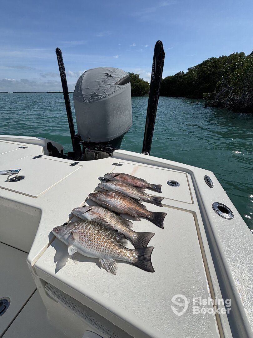 Key West Report Photo 0