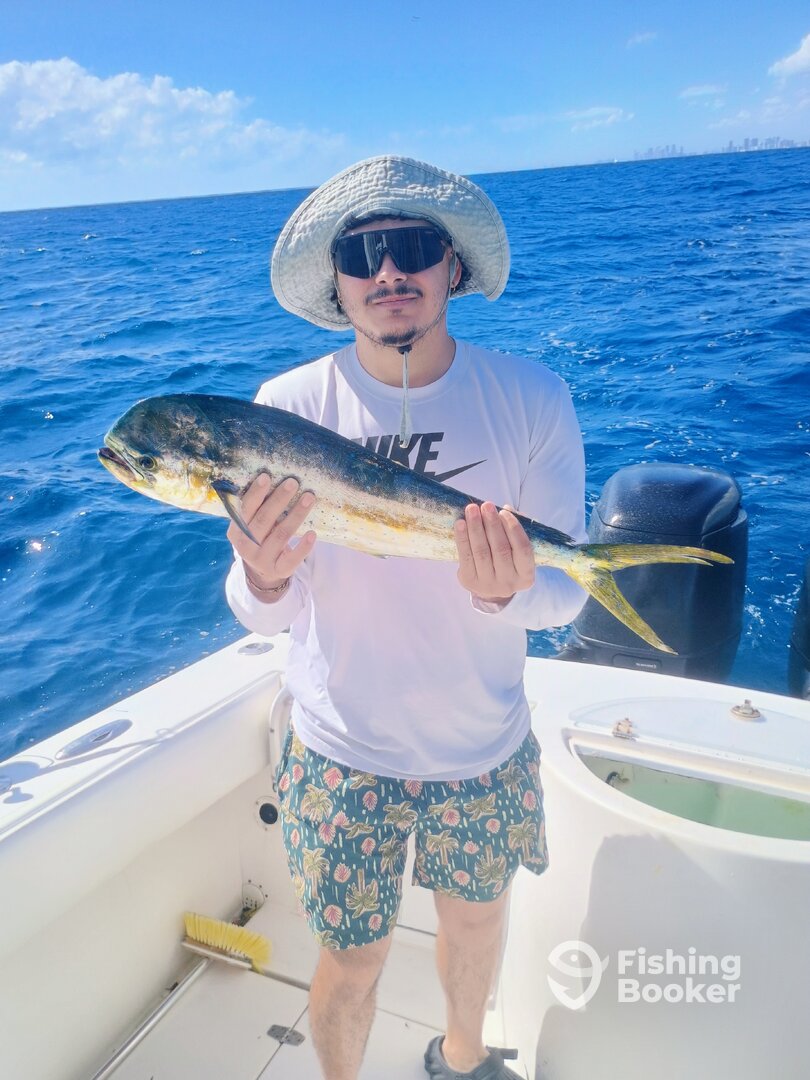 Fort Lauderdale Report Photo 0