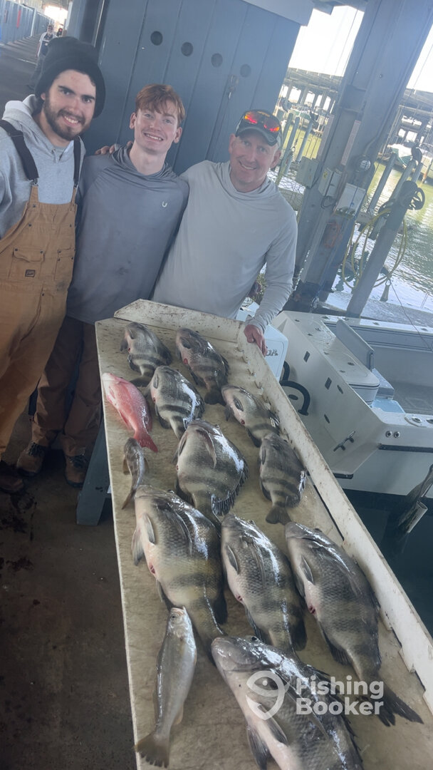 Galveston Verslag Foto 0