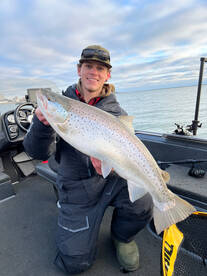 Brown trout beat downs