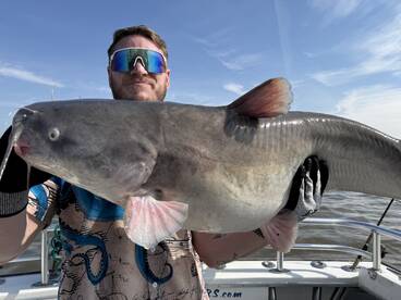 Pasadena Report Photo 2