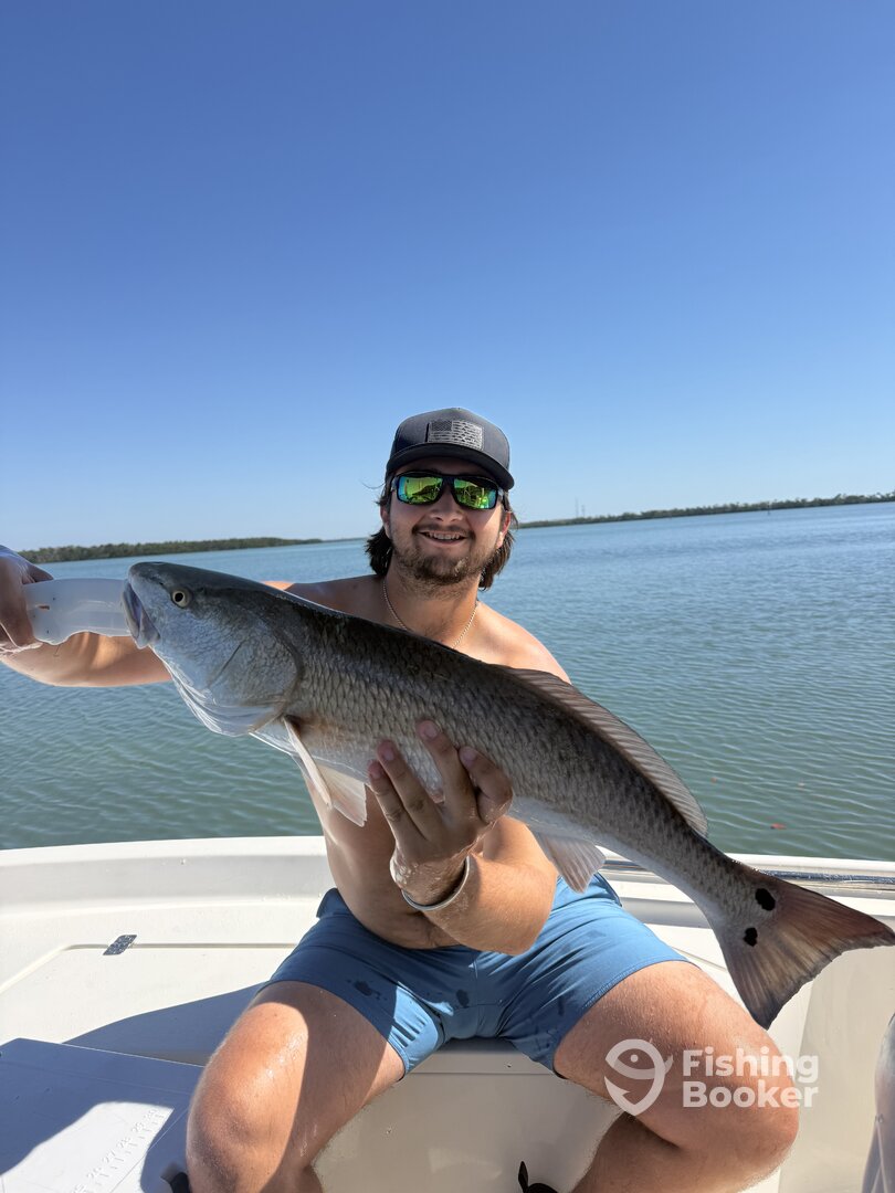 St. Petersburg Report Photo 0