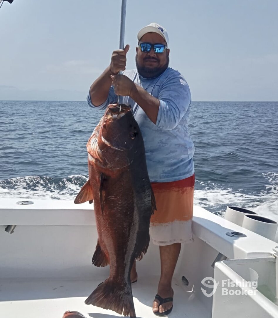 Jalisco Verslag Foto 0