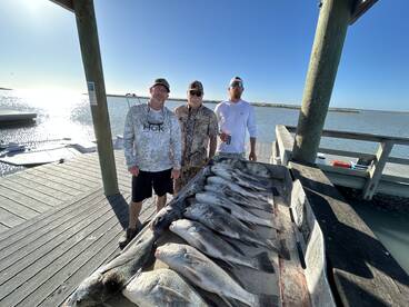 Afternoon trip for black drum 