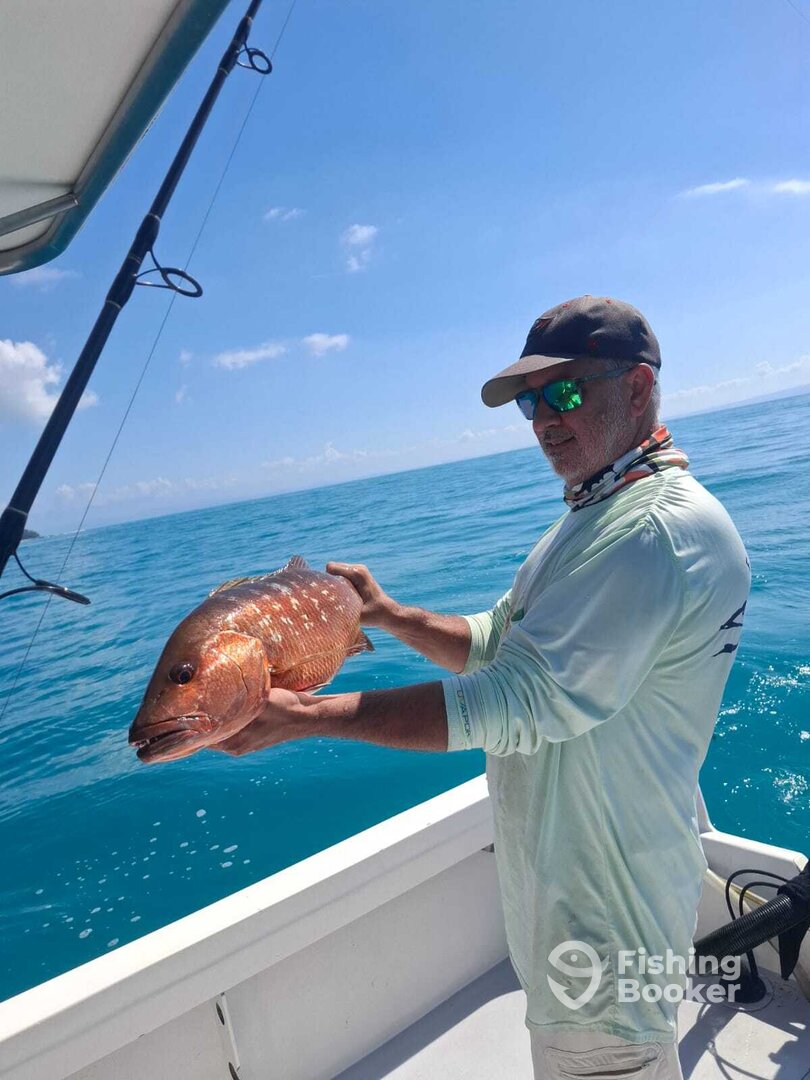 Puerto Jiménez Report Photo 0