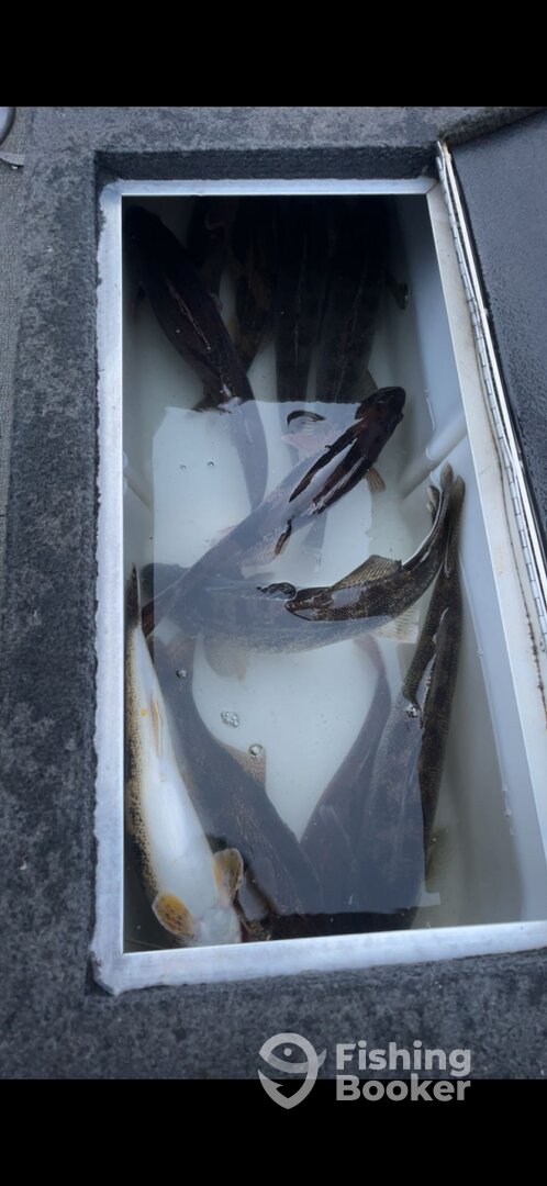 Glasgow Verslag Foto 0