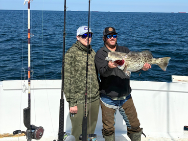 Spring in Full Swing