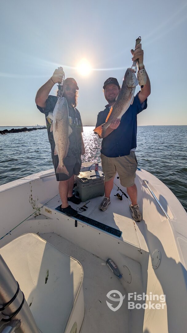 Fernandina Beach Report Photo 0