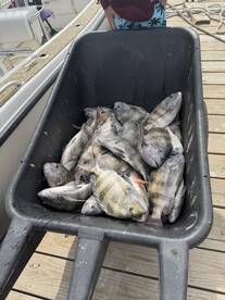 Port O'Connor Report Photo 2