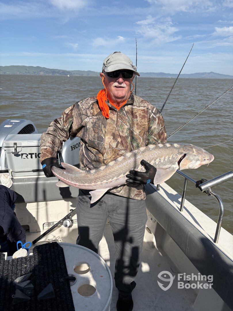 Berkeley Report Photo 0