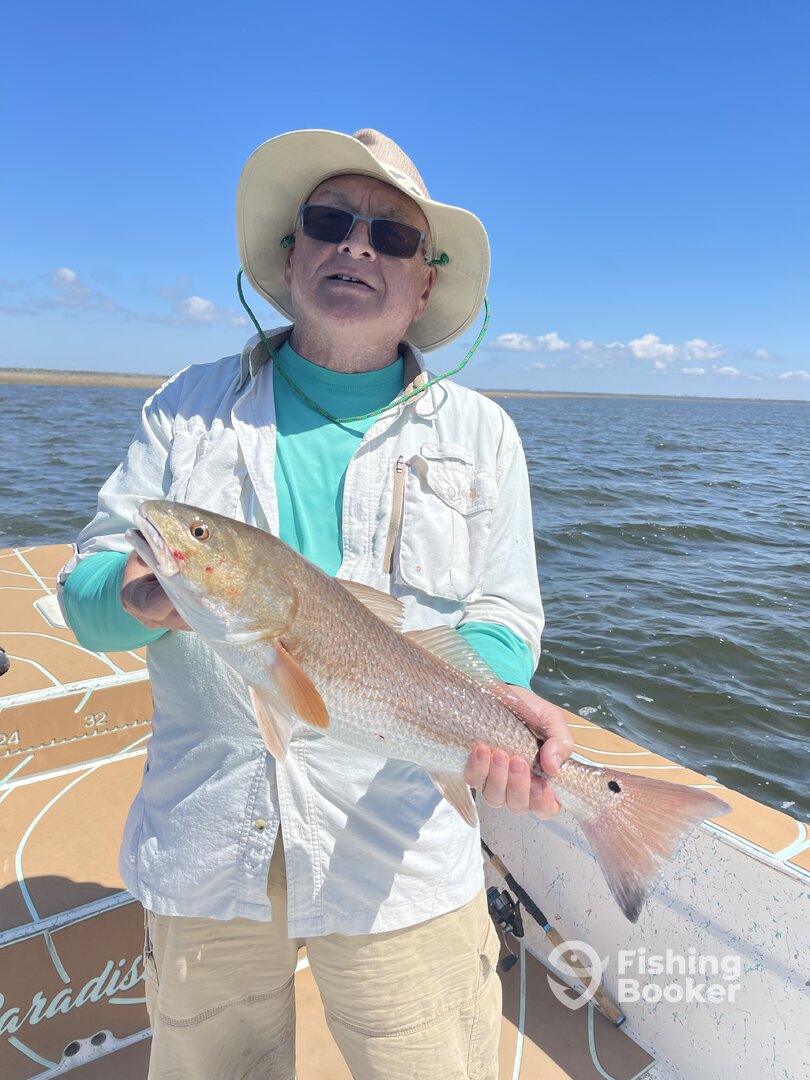 Steinhatchee Report Photo 0