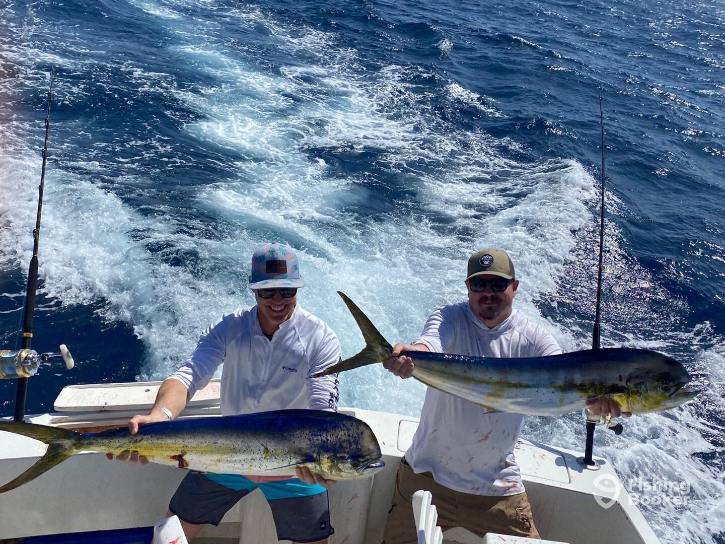 Cabo San Lucas Report Photo 0