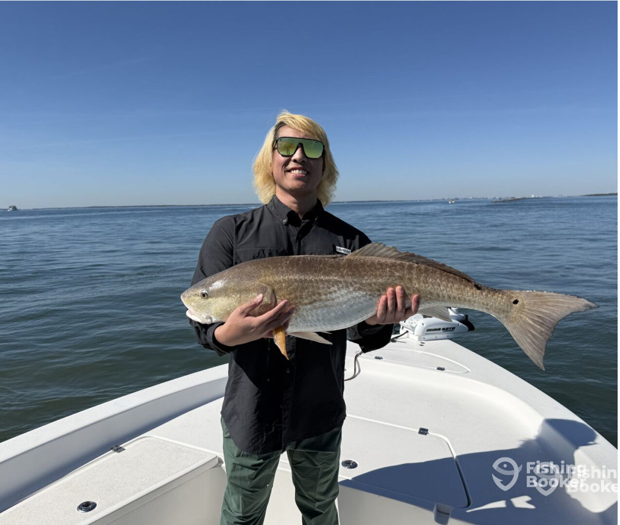 Charleston Report Photo 0