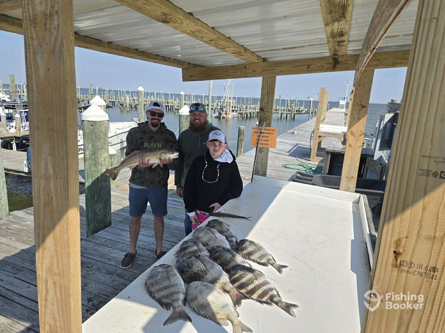 Gulf Shores Report Photo 0