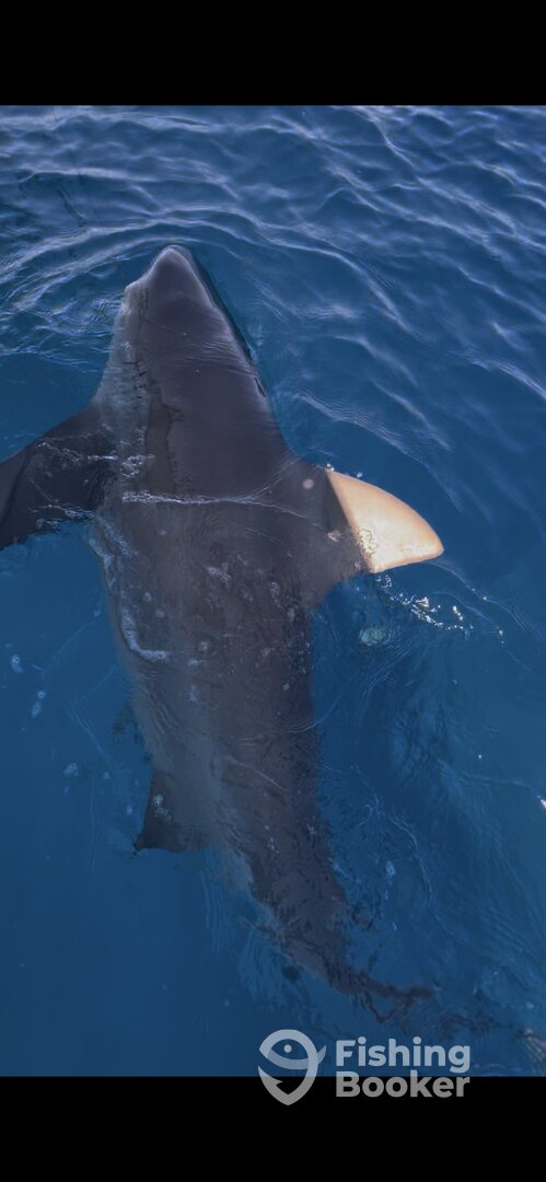 Miami Verslag Foto 0