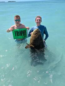 Trophy Goliath grouper 