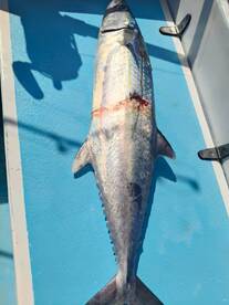 Playa Del Carmen Report Photo 2