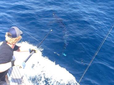 Sydney Report Photo 1