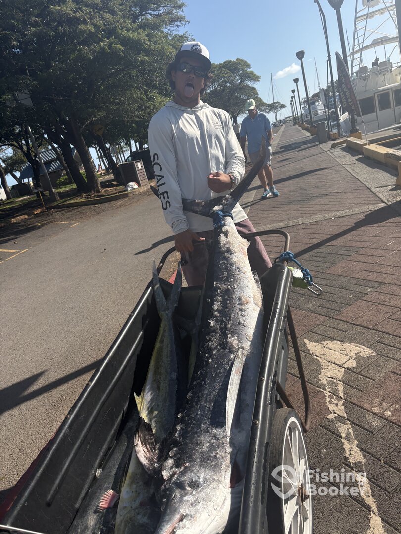 Honolulu Report Photo 0