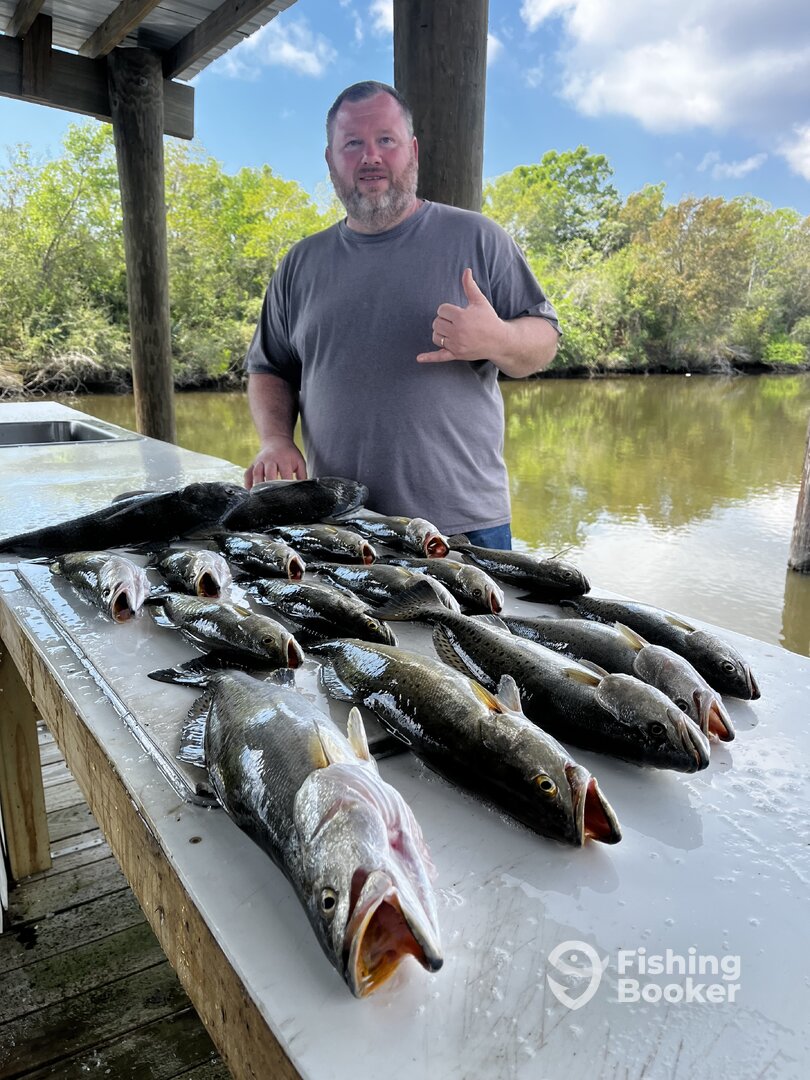 St. Bernard Report Photo 0