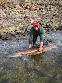 Wenatchee Report Photo 1