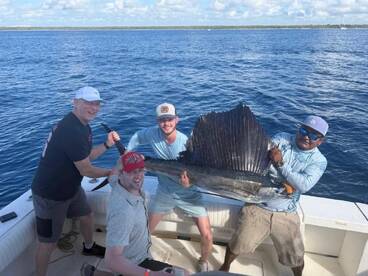 Sailfish Season is Officially Here!