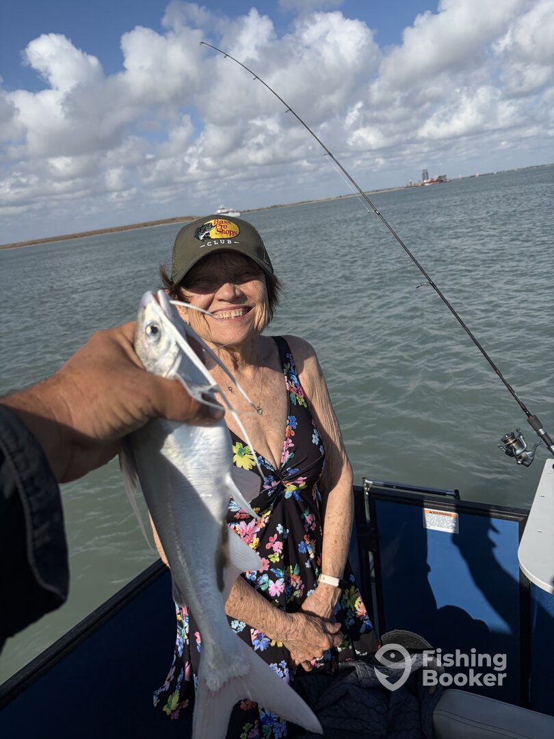 Port Isabel Report Photo 0