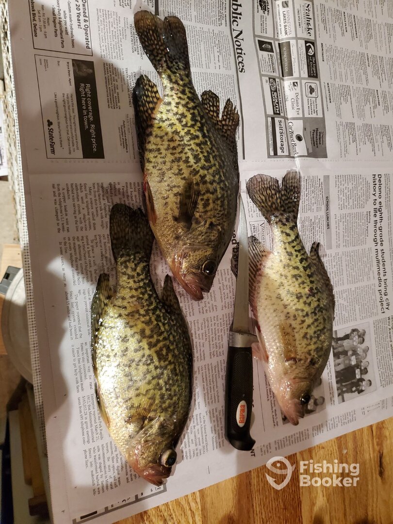 This is just a few of many that we can catch