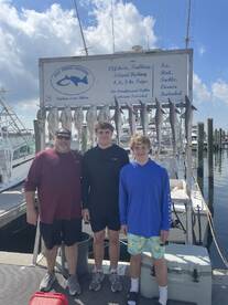 Sharks