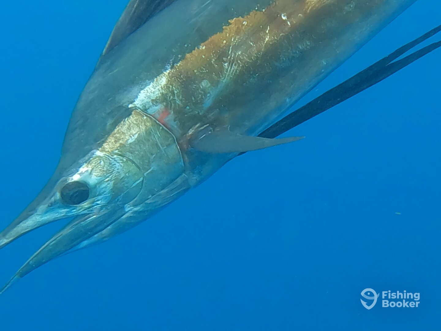 San Juan Report Photo 0