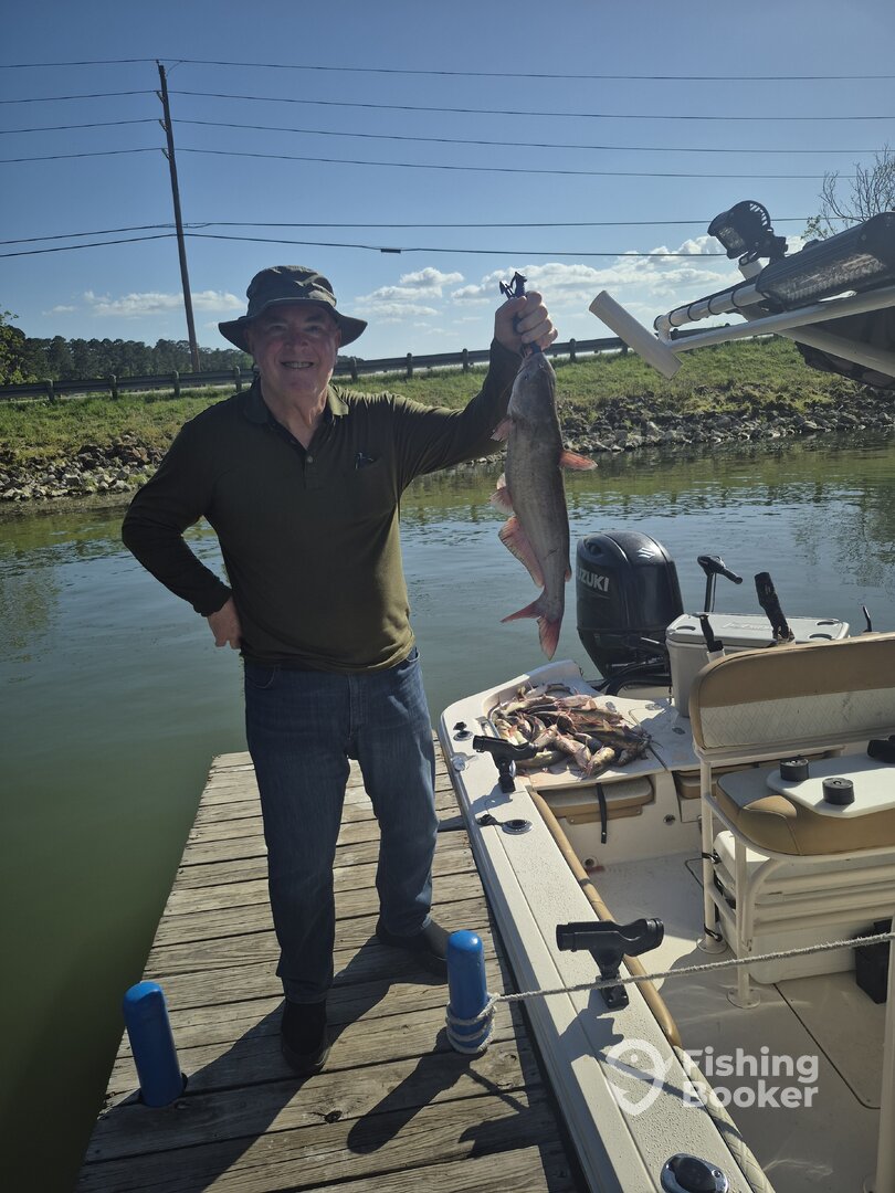 Willis Report Photo 0