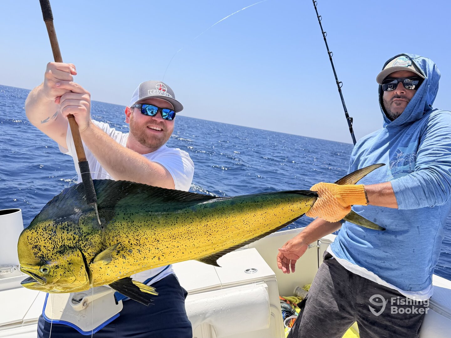 Foto Report Mexico 0