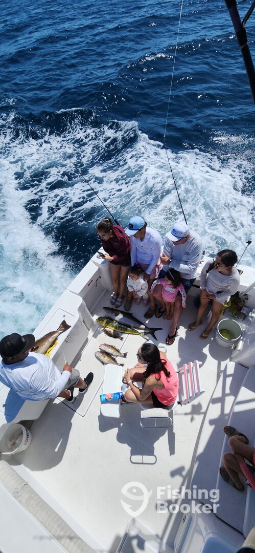 Foto Report La Paz 0